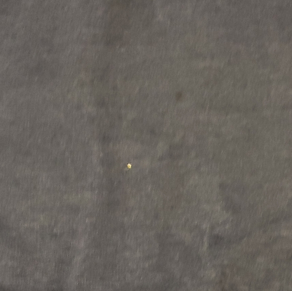 Italia Firenze Made in Italy Sweatshirt Woman's XXL Cotton Navy Embroidered B87 - Picture 3 of 10